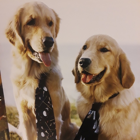 Meet your Posher, Jean - Picture 1 of 1